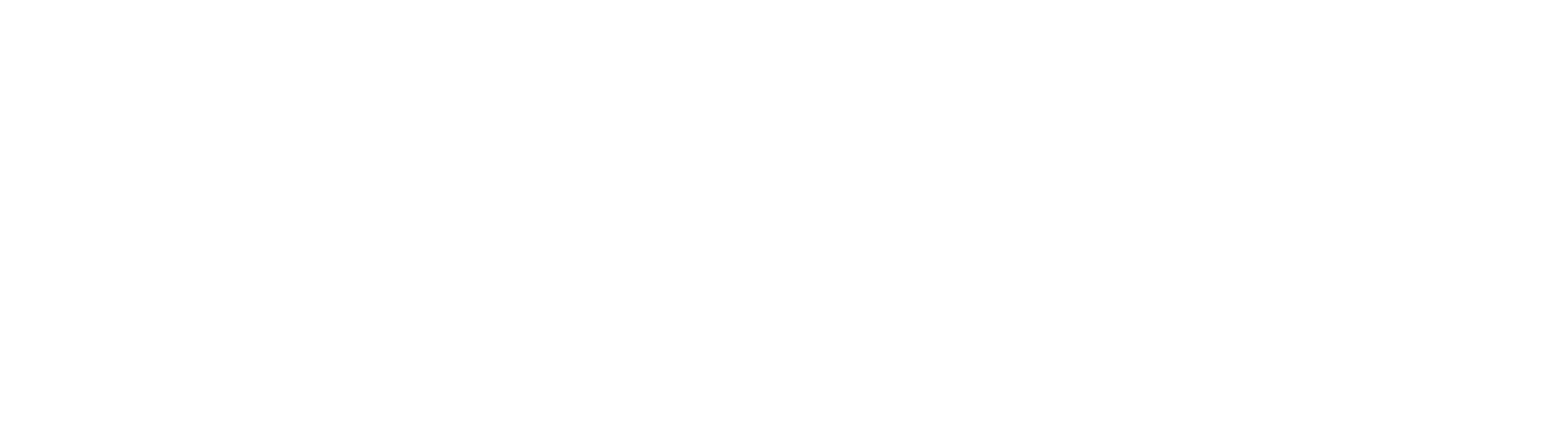 Georg Polymer